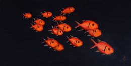 Pintura, Banc de poissons soldats - série Animaux marins de la mer des Caraïbes, Patrick Chevailler