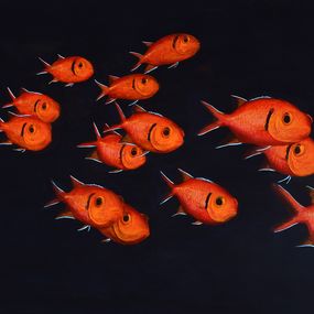 Peinture, Banc de poissons soldats - série Animaux marins de la mer des Caraïbes, Patrick Chevailler