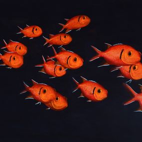 Pintura, Banc de poissons soldats - série Animaux marins de la mer des Caraïbes, Patrick Chevailler