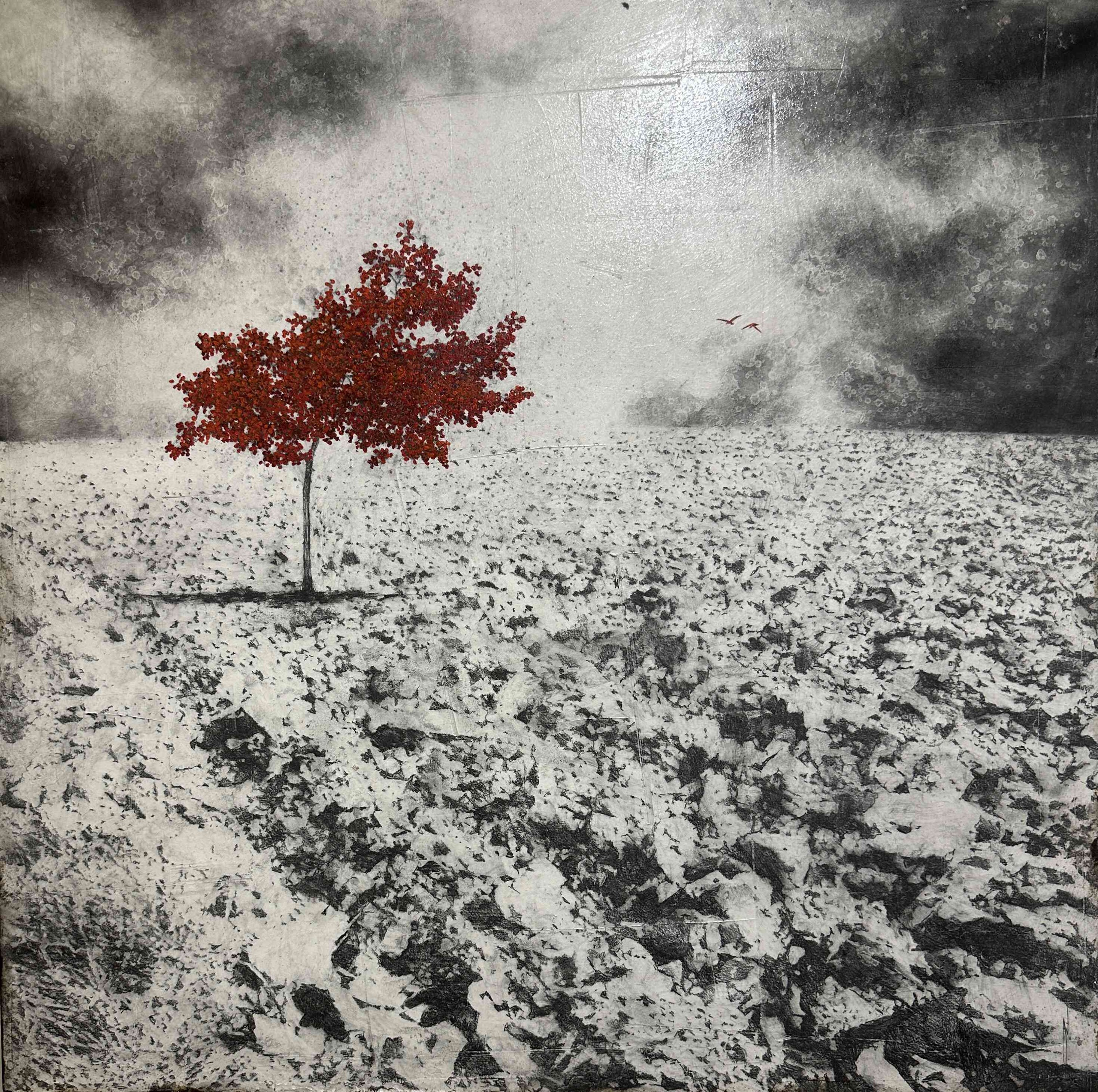 Antoine Josse, Dans un monde en noir et blanc Antoine Josse, Dans un monde en noir et blanc