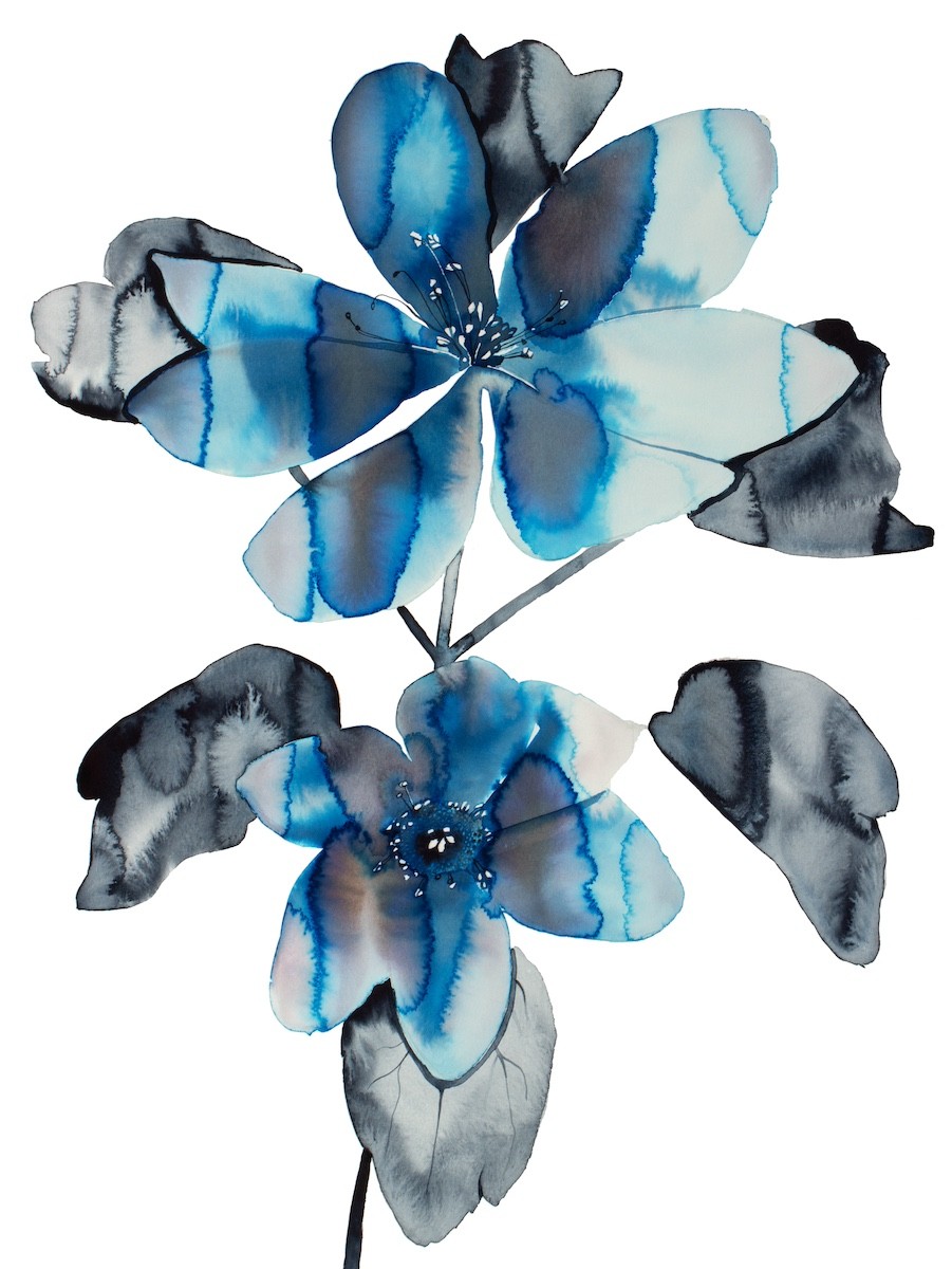 Elizabeth Becker, Anemone No. 9 Elizabeth Becker, Anemone No. 9