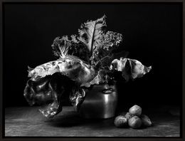 Photography, Kale & Coles de Bruselas. From The Bodegones series, Dora Franco