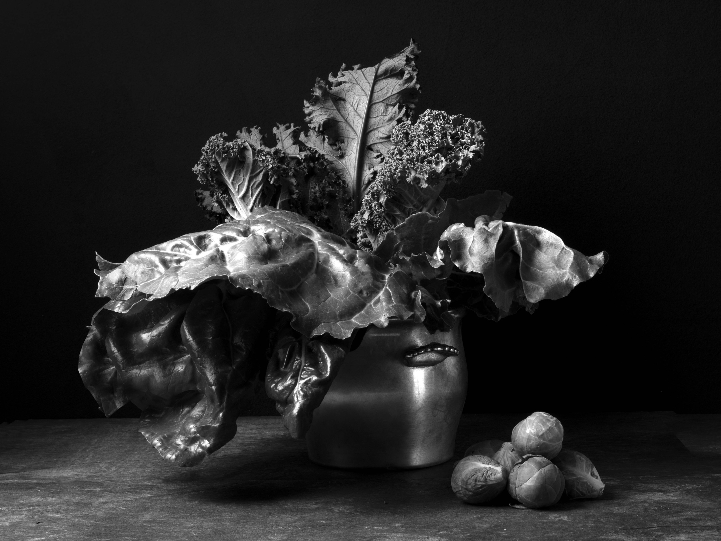 Dora Franco, Kale & Coles de Bruselas. From The Bodegones series Dora Franco, Kale & Coles de Bruselas. From The Bodegones series