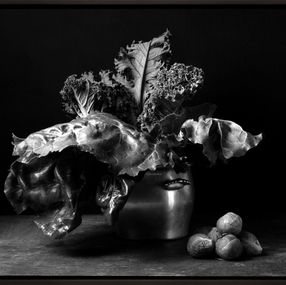 Photographie, Kale & Coles de Bruselas. From The Bodegones series, Dora Franco