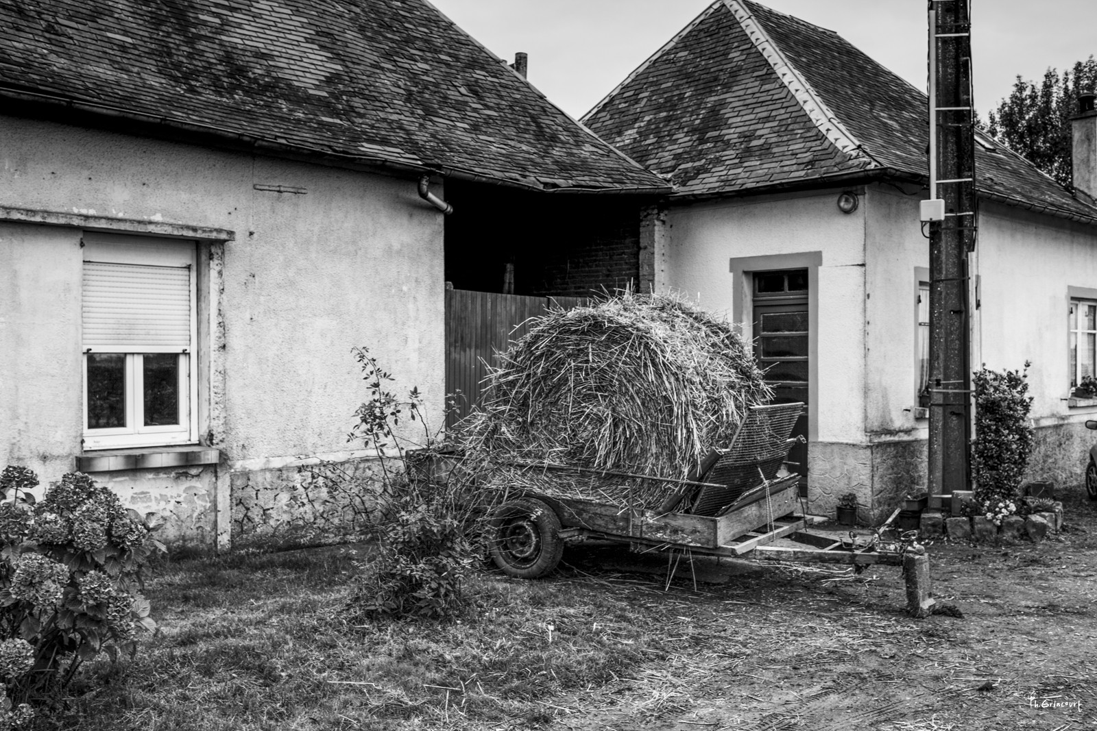 Philippe Grincourt, La botte de foin Philippe Grincourt, La botte de foin