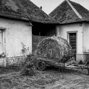 Photographie, La botte de foin, Philippe Grincourt