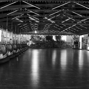 Photographie, La fête foraine, Philippe Grincourt