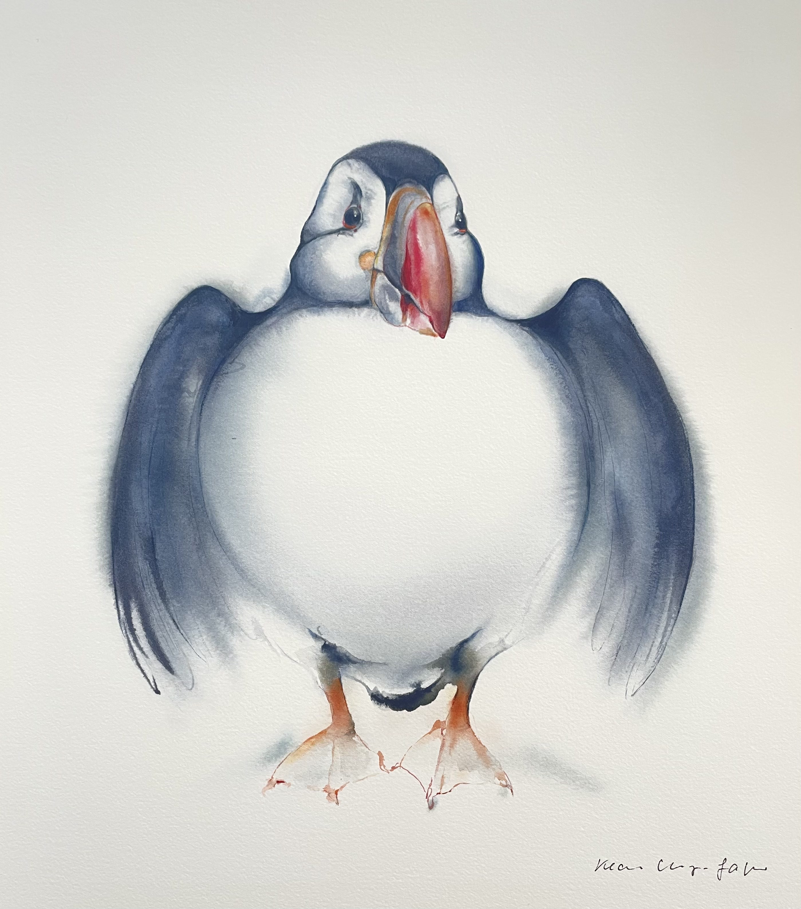 Klaus Meyer-Gasters, Papageientaucher | Puffin Klaus Meyer-Gasters, Papageientaucher | Puffin