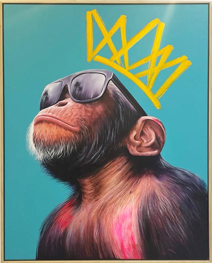 Kevin Deuso, Cool Monkey Kevin Deuso, Cool Monkey