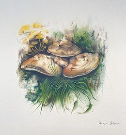 Painting, Flacher Porling | Flat Porling Mushroom, Klaus Meyer-Gasters