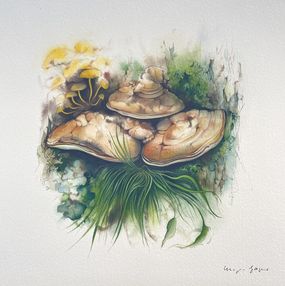 Painting, Flacher Porling | Flat Porling Mushroom, Klaus Meyer-Gasters