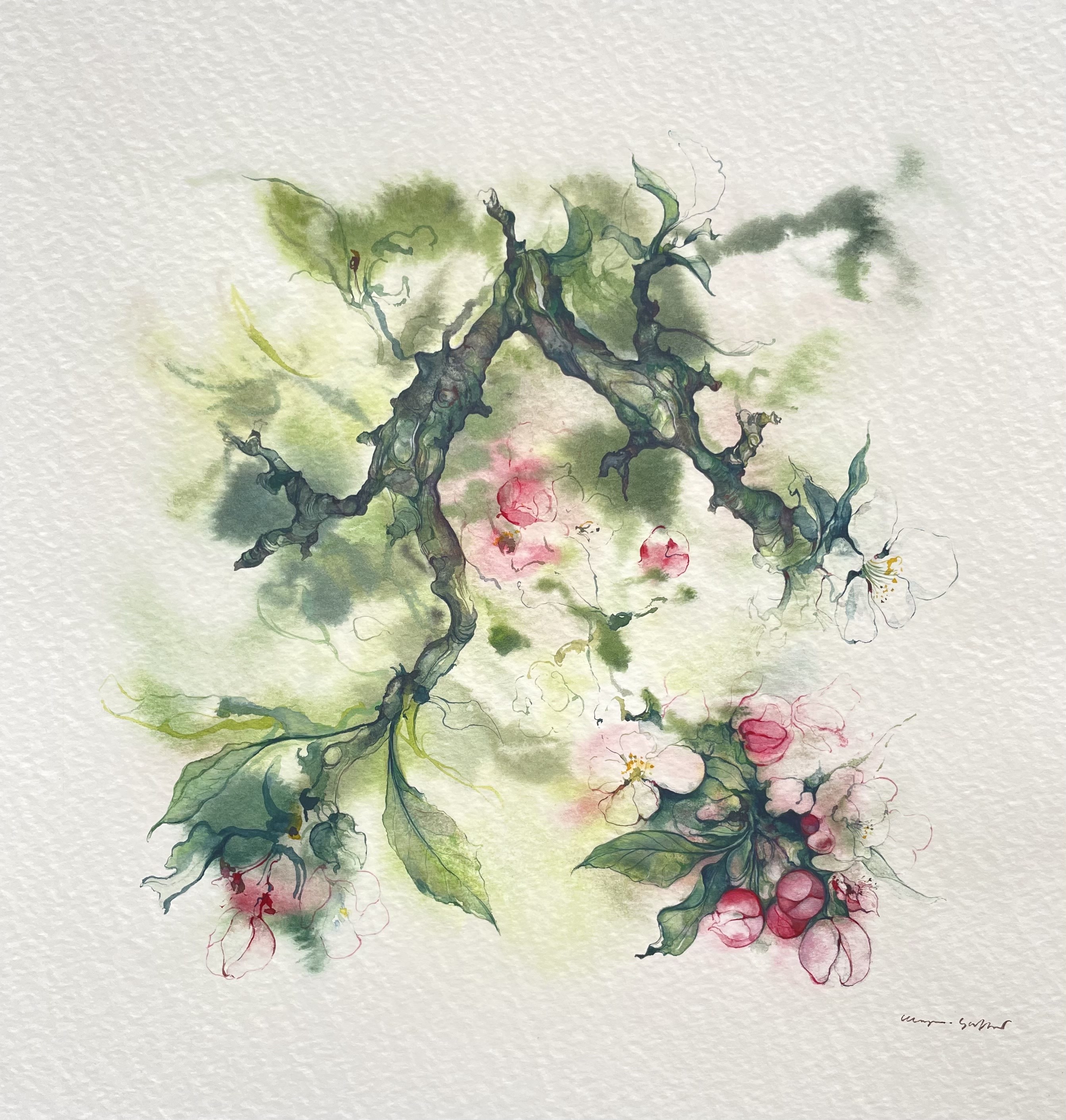 Klaus Meyer-Gasters, Apfelblüte | Apple blossom Klaus Meyer-Gasters, Apfelblüte | Apple blossom