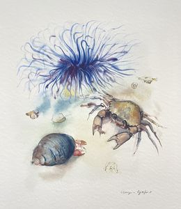 Gemälde, Krabbenkrebs und Seeanemone | Crab and sea anemone, Klaus Meyer-Gasters