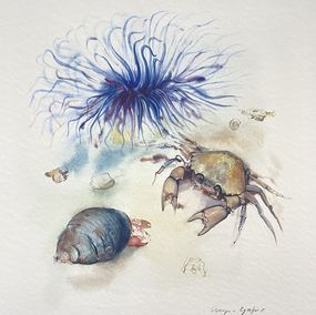 Gemälde, Krabbenkrebs und Seeanemone | Crab and sea anemone, Klaus Meyer-Gasters