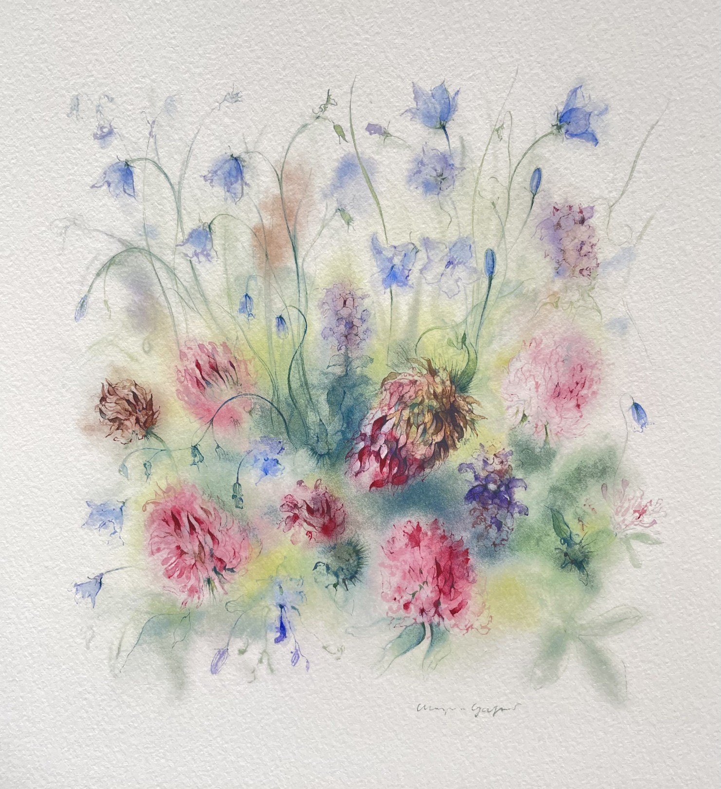 Klaus Meyer-Gasters, Klee & Glockenblume | Clover & bellflower Klaus Meyer-Gasters, Klee & Glockenblume | Clover & bellflower