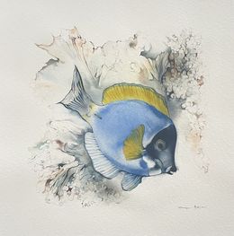 Painting, Doktorfisch | Surgeonfish, Klaus Meyer-Gasters