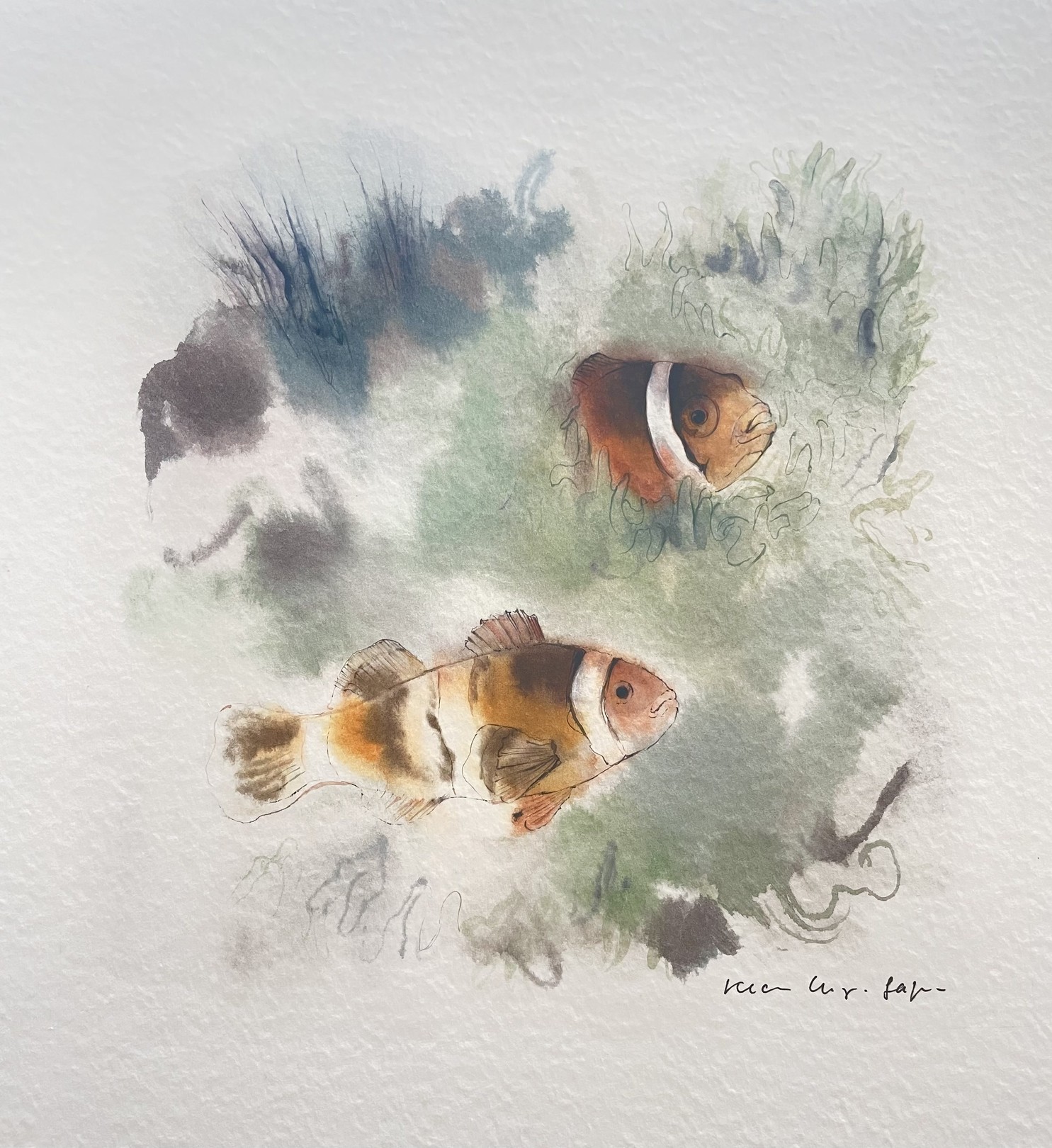 Klaus Meyer-Gasters, Clownsfische | Clownfish Klaus Meyer-Gasters, Clownsfische | Clownfish