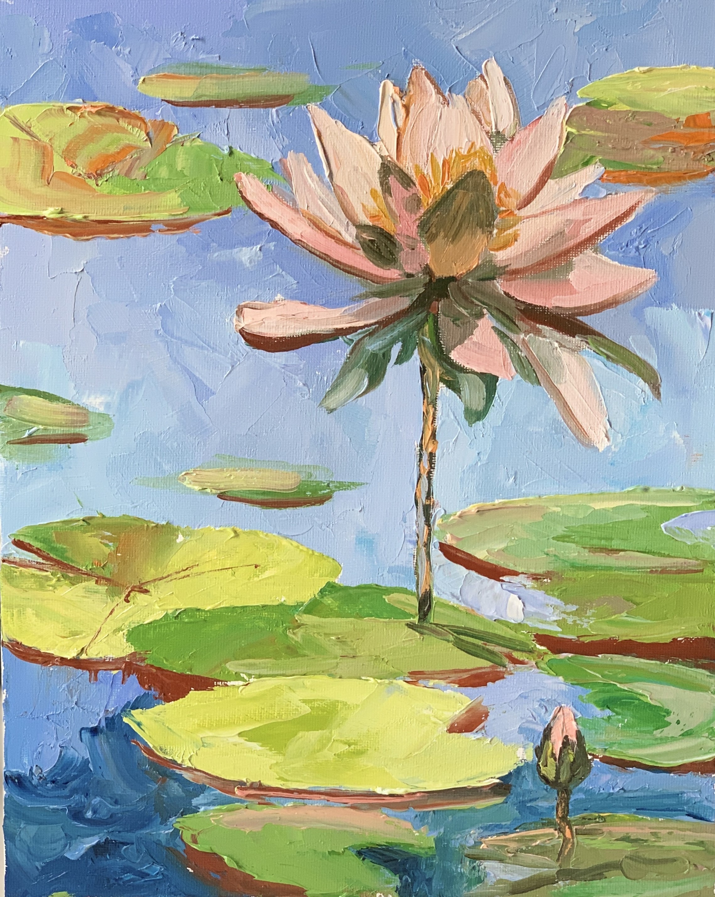 Schagen Vita, Water lily in a pond Schagen Vita, Water lily in a pond