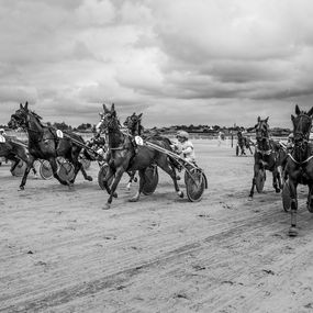 Photographie, Hippodrome marin de Plouescat, Philippe Grincourt