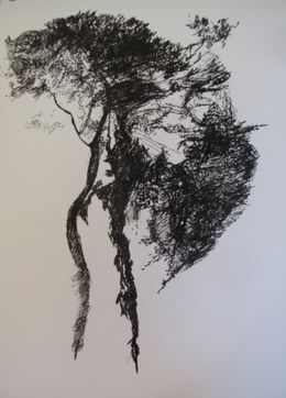 Fine Art Drawings, sans titre, Juliette Wegrzyk