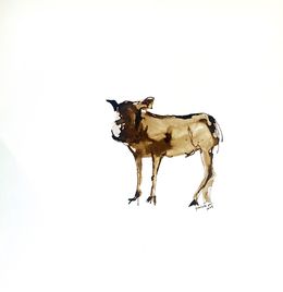 Fine Art Drawings, Walter the warthog, Gabrielle Pool