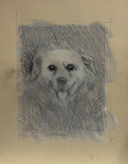 Fine Art Drawings, Dog, Joe Lasker