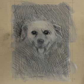 Fine Art Drawings, Dog, Joe Lasker