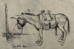 Fine Art Drawings, Donkey, Joe Lasker