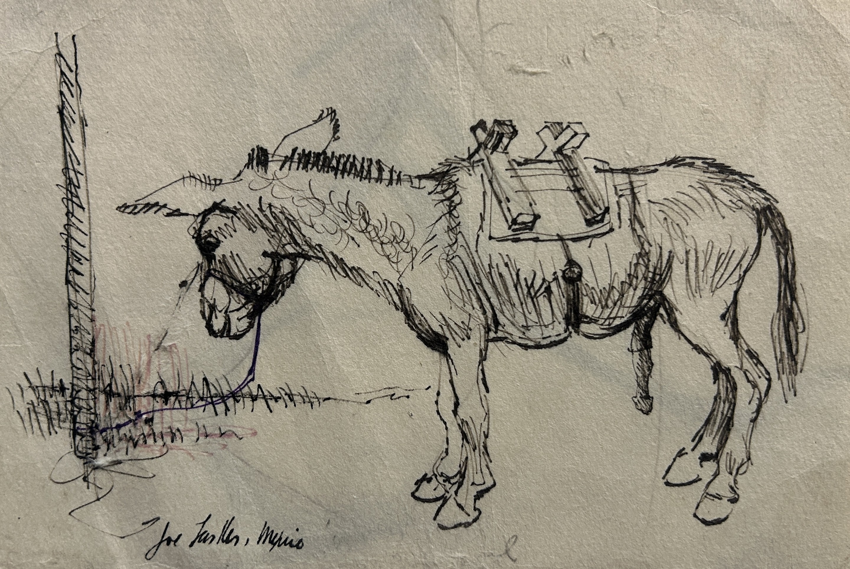 Joe Lasker, Donkey Joe Lasker, Donkey