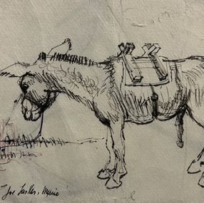 Fine Art Drawings, Donkey, Joe Lasker