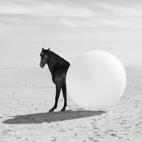 Photography, Round Horse, Olha Stepanian