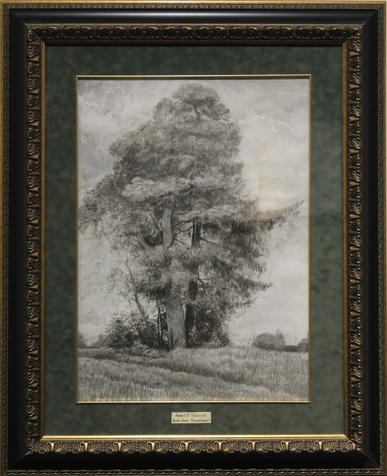 Simon Kozhin, Pine and Spruce Simon Kozhin, Pine and Spruce