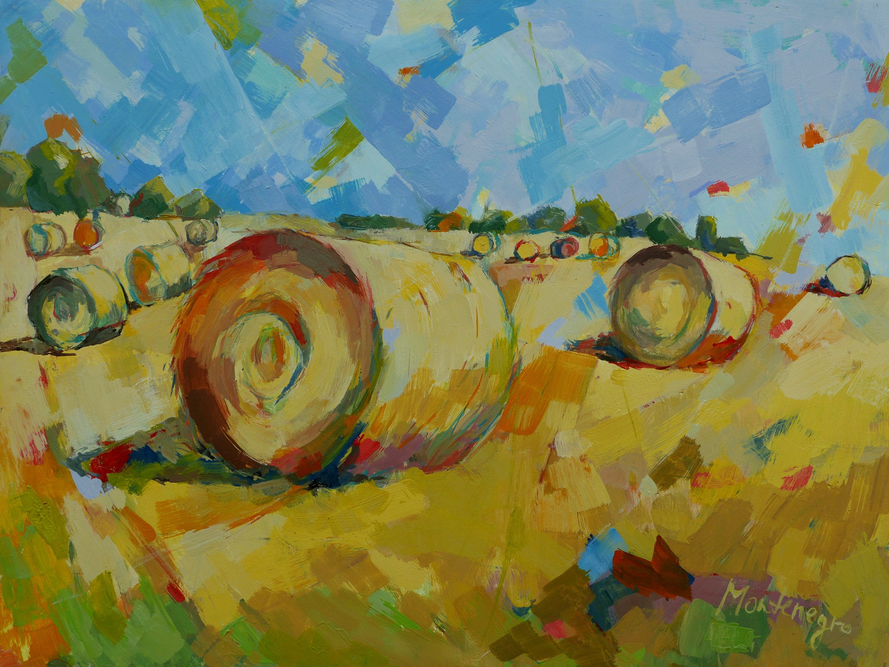 Miriam Montenegro, Fields od Gold Miriam Montenegro, Fields od Gold