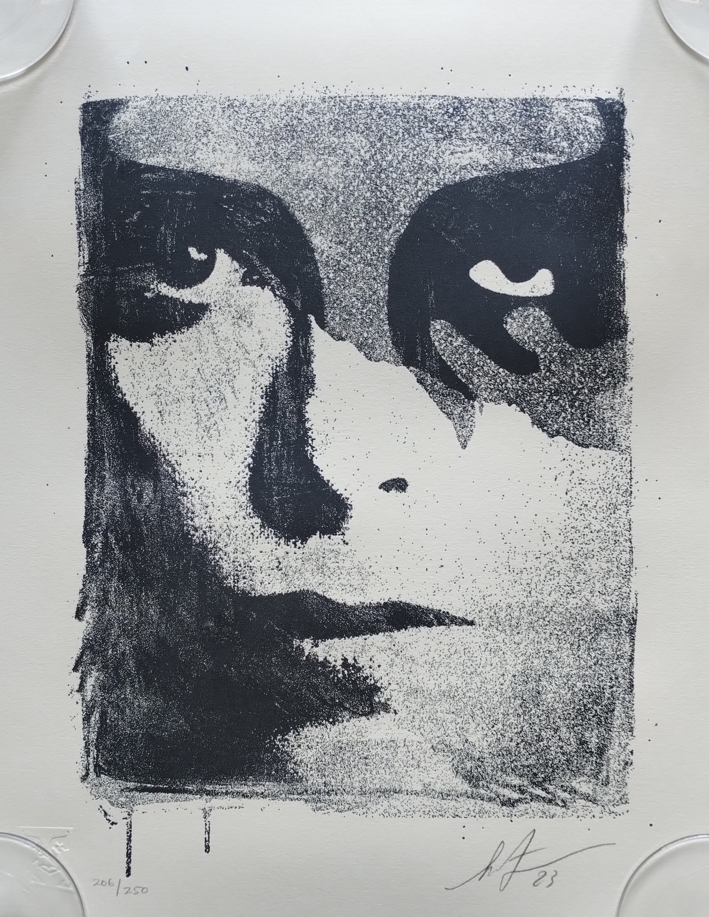 Shepard Fairey (Obey), A Cracked Icon Shepard Fairey (Obey), A Cracked Icon