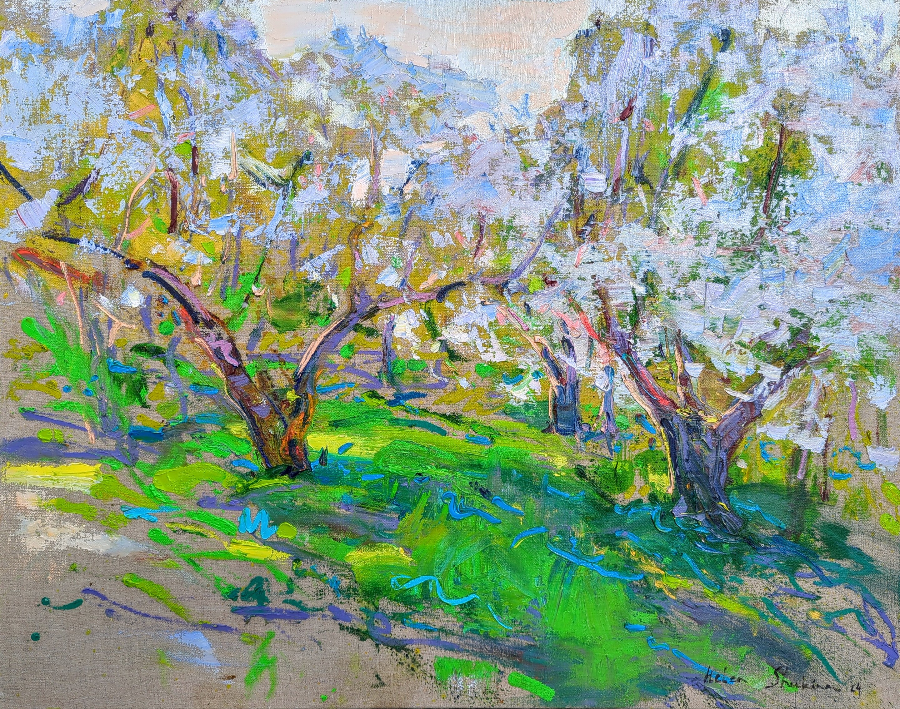 Helen Shukina, Calm. Blooming cherry tree Helen Shukina, Calm. Blooming cherry tree