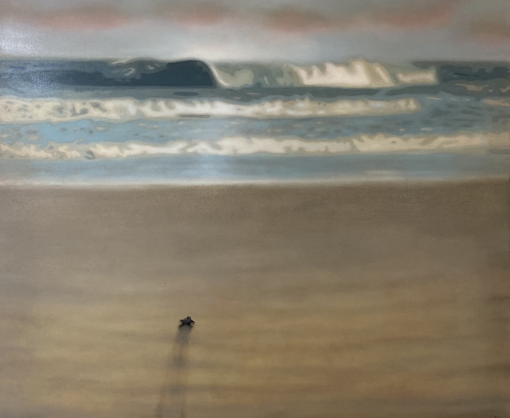 Marko Klomp, Left | Behind (Turtle) Marko Klomp, Left | Behind (Turtle)