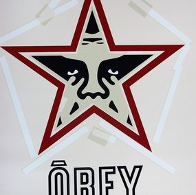 Edición, Salad Days, Shepard Fairey (Obey)