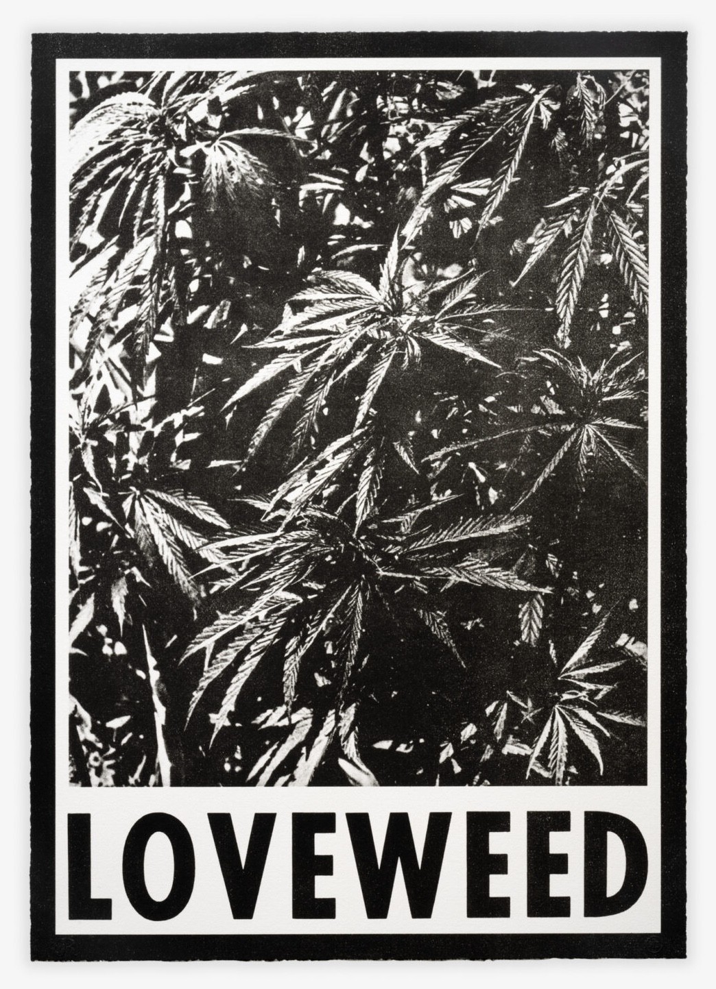 The Estate Of Wallace Berman, LOVEWEED The Estate Of Wallace Berman, LOVEWEED