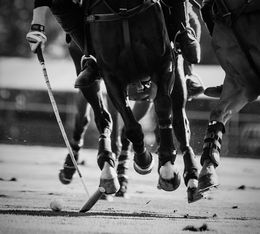 Fotografien, Full Tilt, Polo Miniature, Amrita Bilimoria