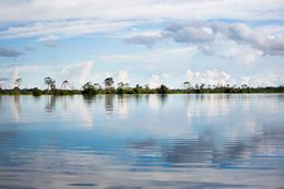 Fotografien, Peru Amazonia, Anthony Horth