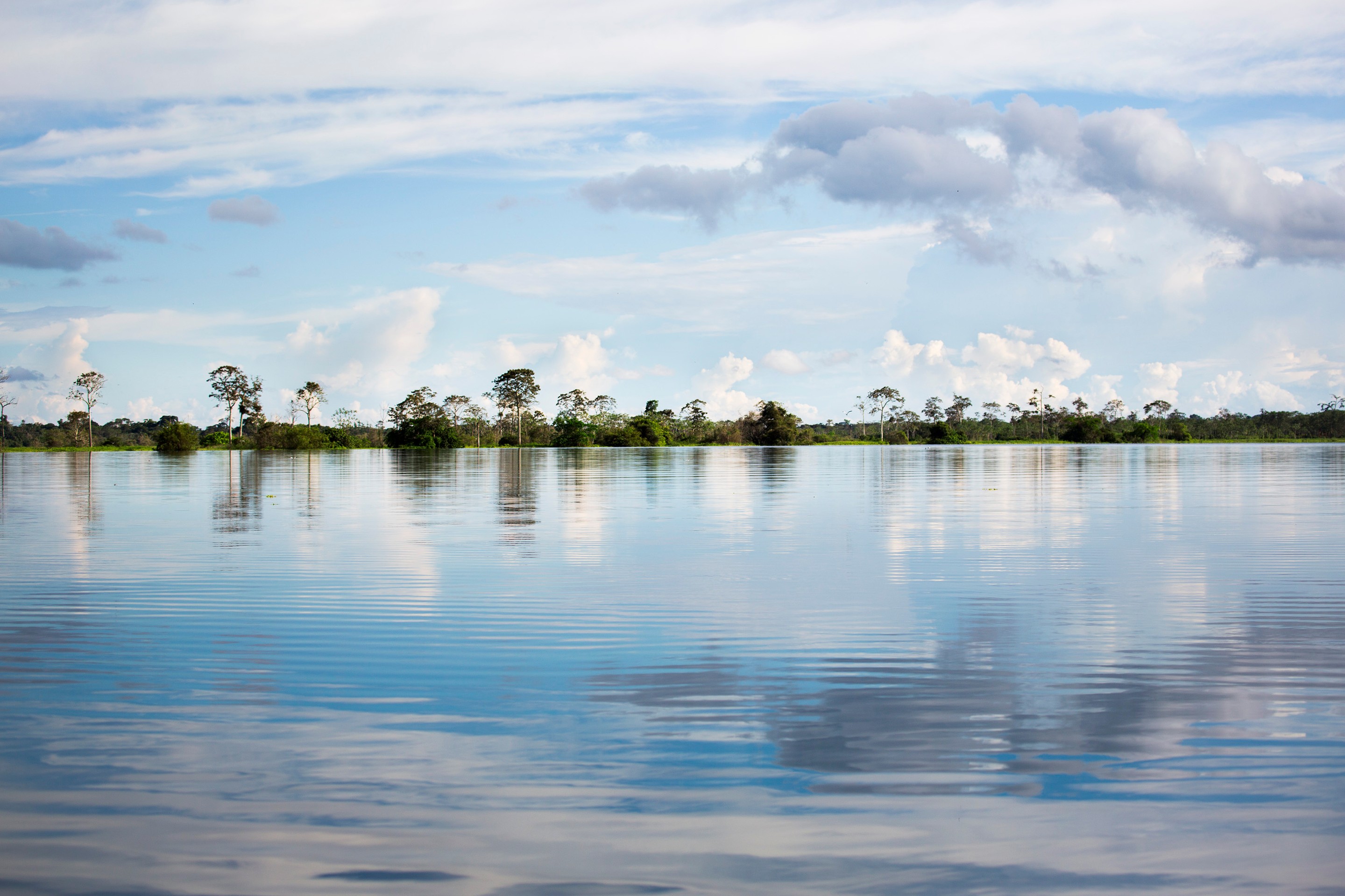 Anthony Horth, Peru Amazonia Anthony Horth, Peru Amazonia