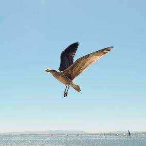 Fotografía, Untitled, Giorgi Lomidze