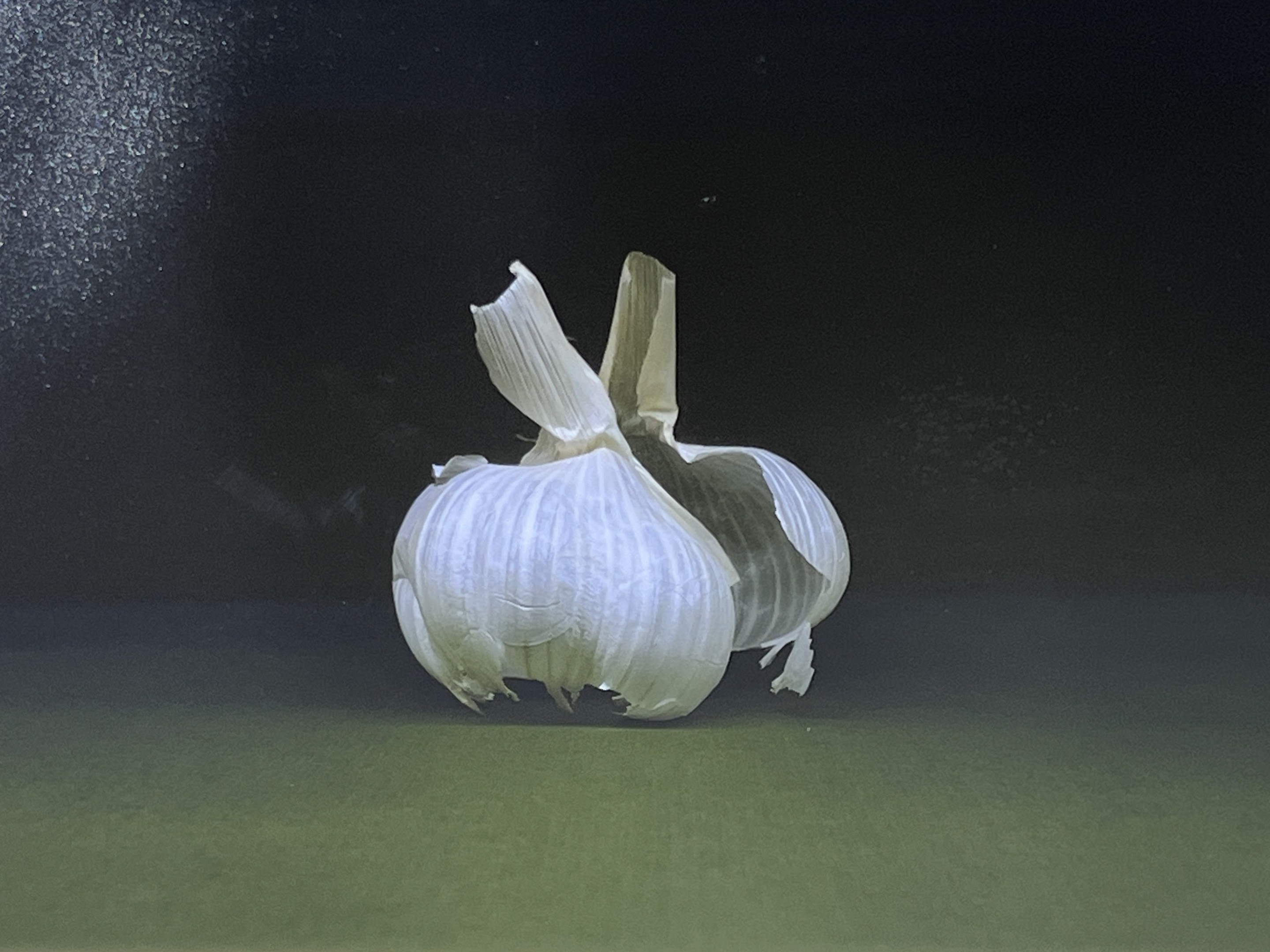 Giorgi Lomidze, Untitled Giorgi Lomidze, Untitled