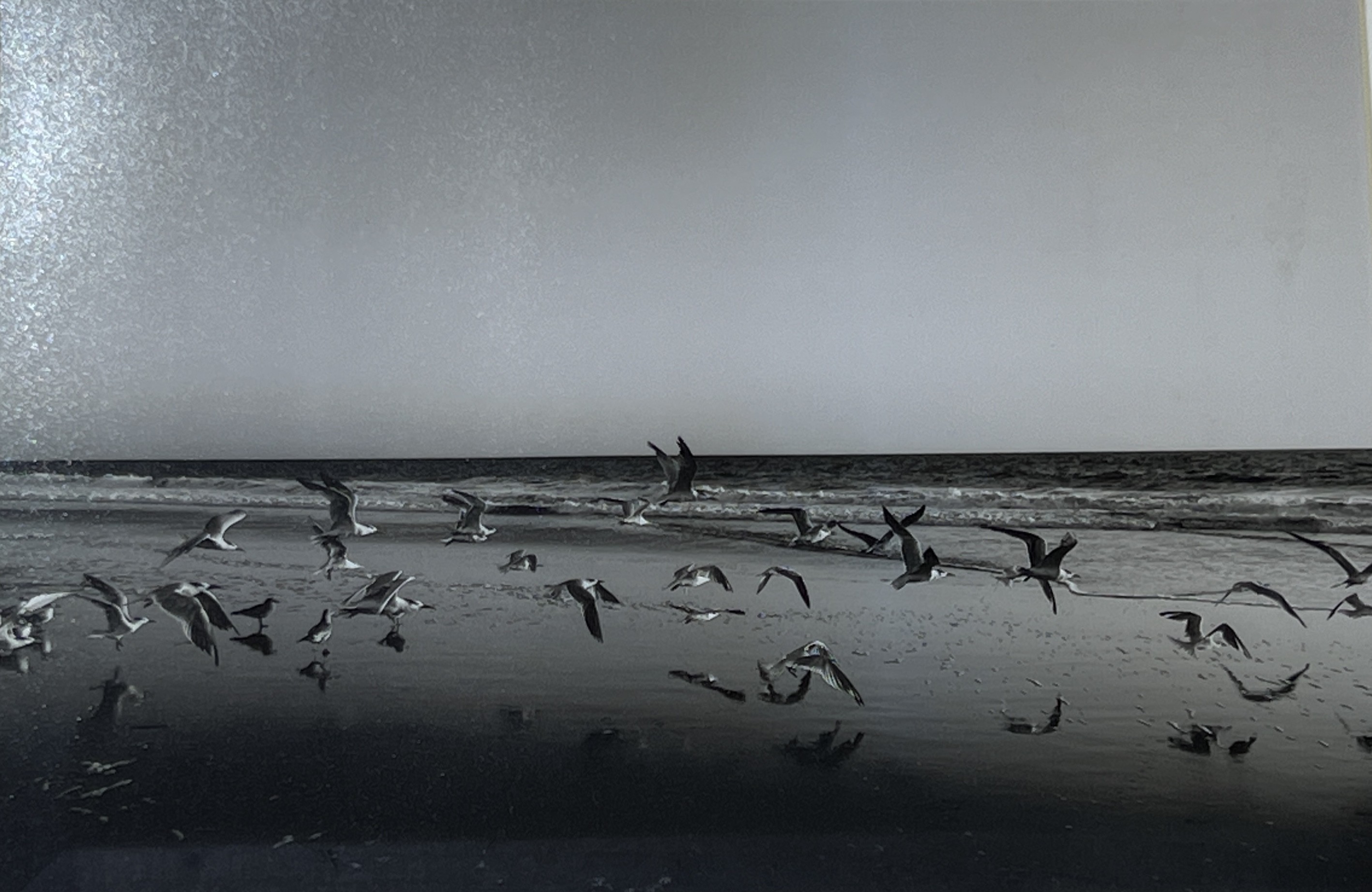 Giorgi Lomidze, Untitled Giorgi Lomidze, Untitled