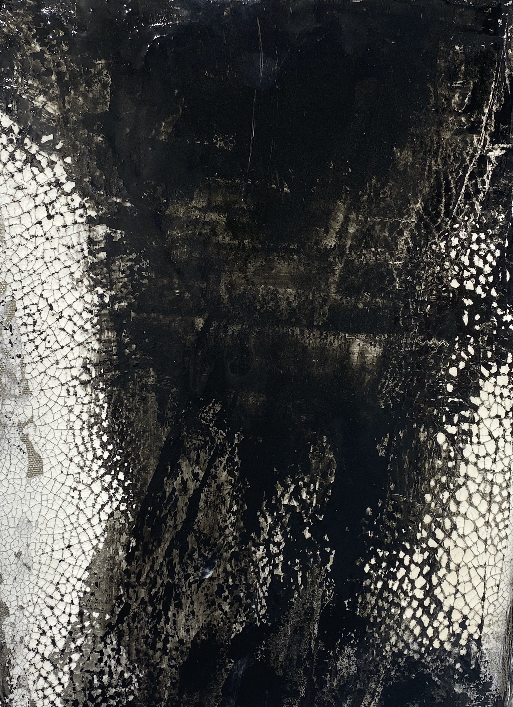 Petra Reissmann, Series Fusion black and white Petra Reissmann, Series Fusion black and white