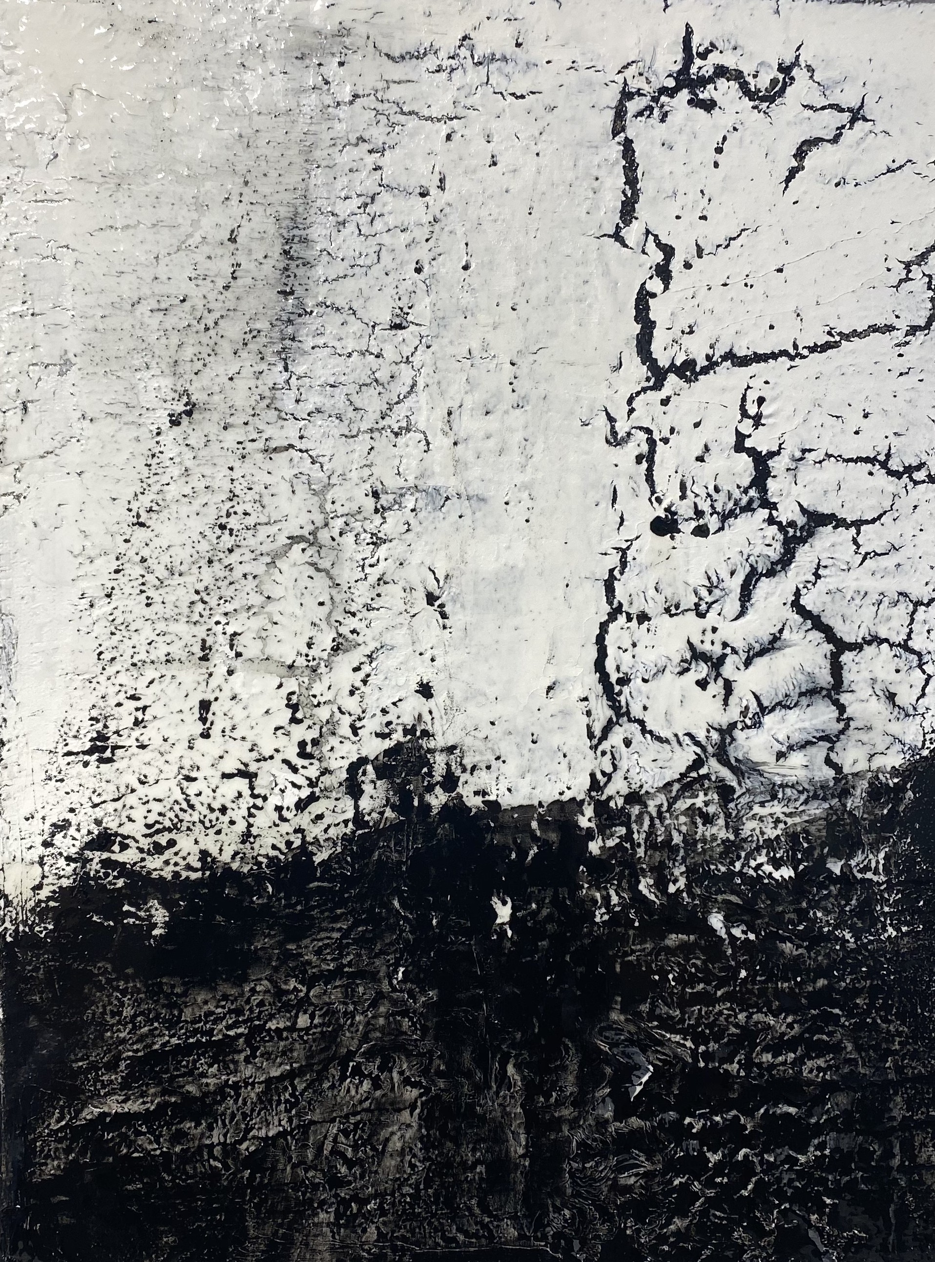 Petra Reissmann, Series Fusion black and white, 7 Petra Reissmann, Series Fusion black and white, 7