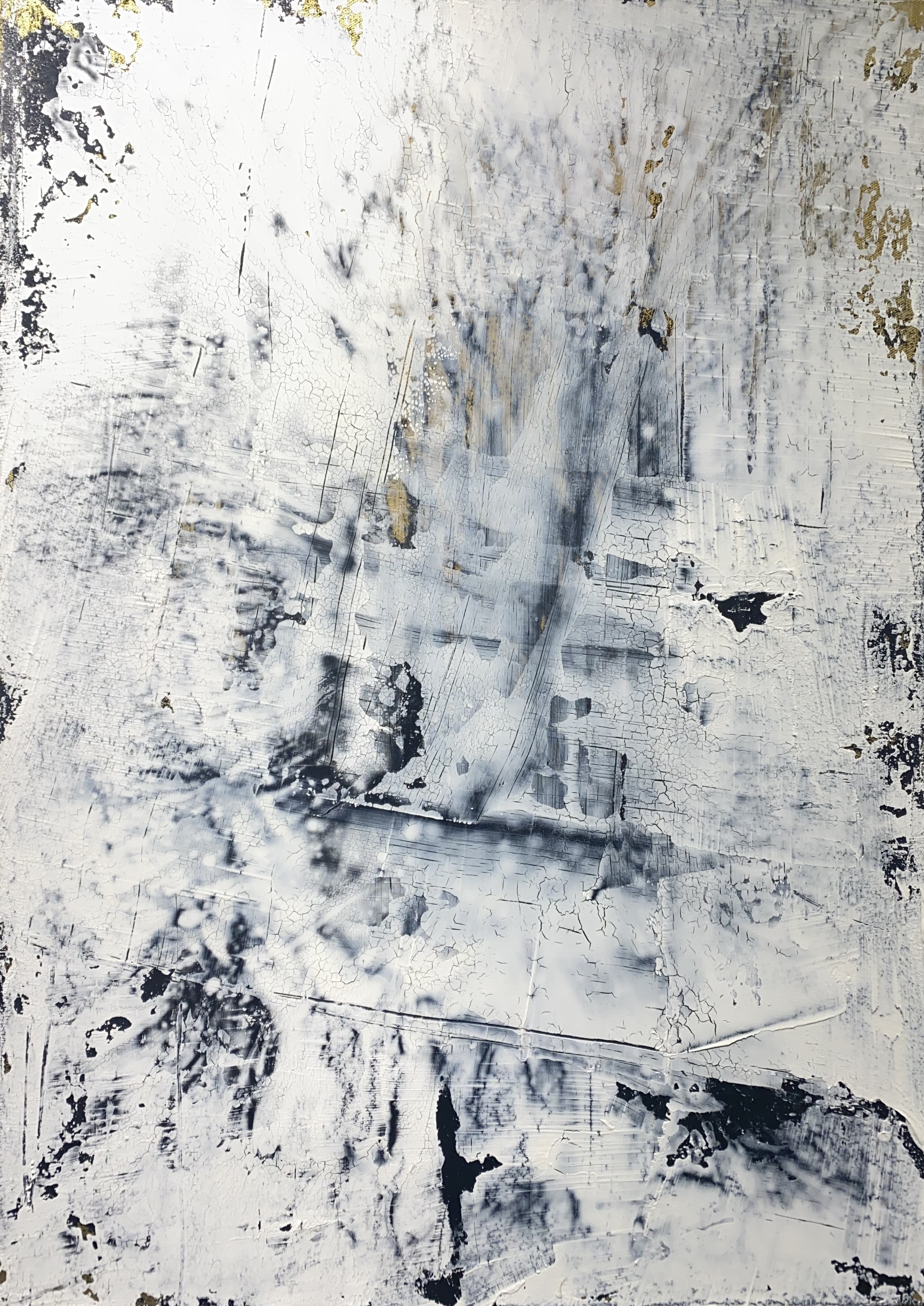 Petra Reissmann, Series fusion black and white Petra Reissmann, Series fusion black and white
