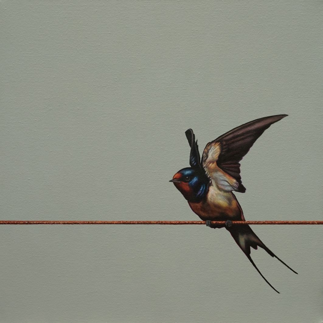 Mike Ellis, Volant Mike Ellis, Volant