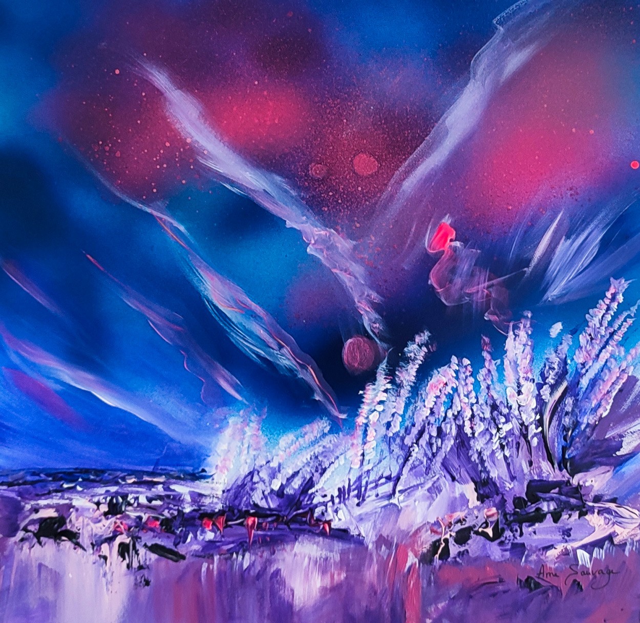 Âme Sauvage, Lunes d'un autre monde Âme Sauvage, Lunes d'un autre monde
