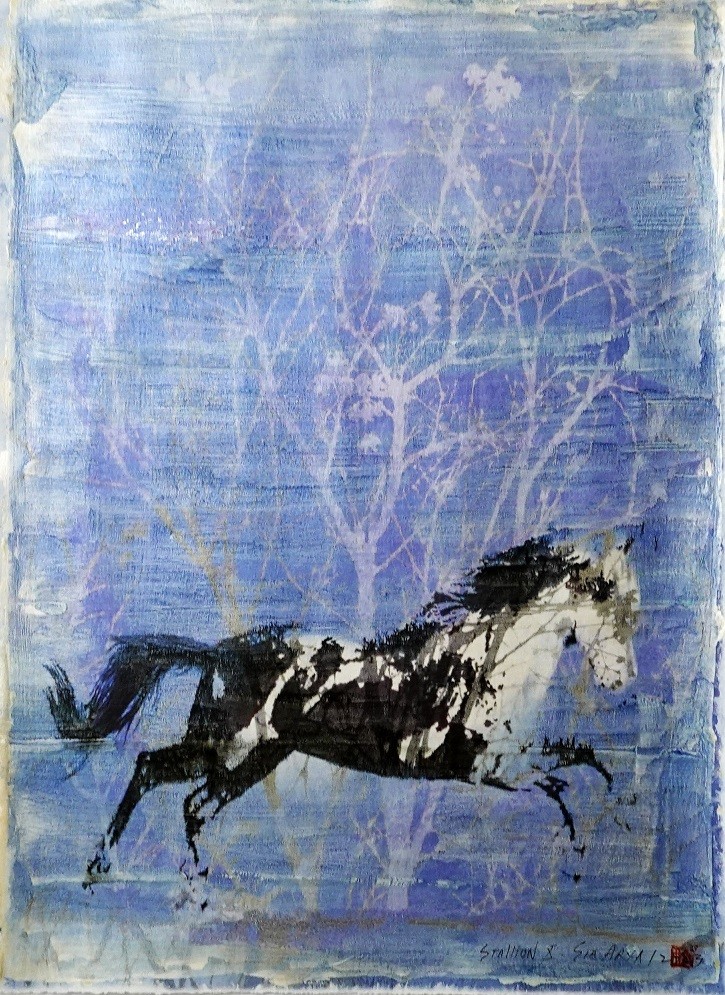 Sia Aryai, Stallion X Sia Aryai, Stallion X